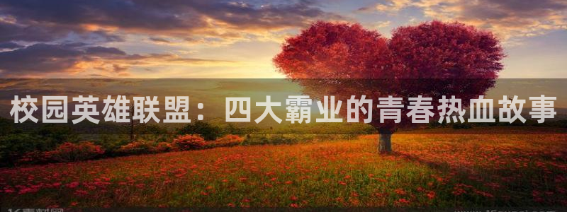 age动漫正版网：校园英雄联盟：四大霸业的青春热血故事