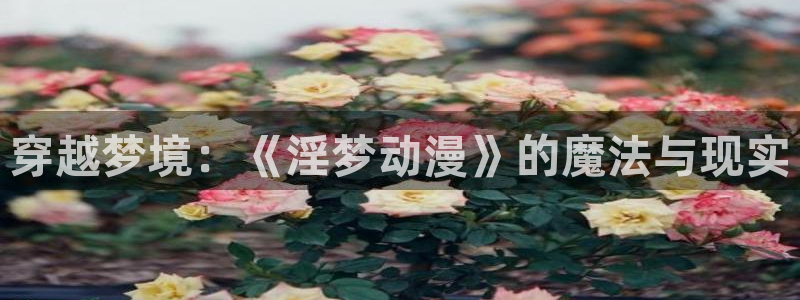 lovestage漫画免费阅读：穿越梦境：《淫梦动漫》的魔法与现实