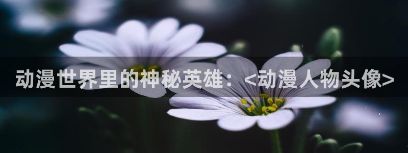 age动漫网官网入口：动漫世界里的神秘英雄：<动漫人物头像>