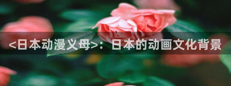 age动漫网官网入口：<日本动漫义母>：日本的动画文化背景