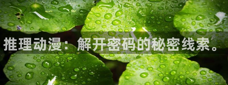 age动漫omofun：推理动漫：解开密码的秘密线索。