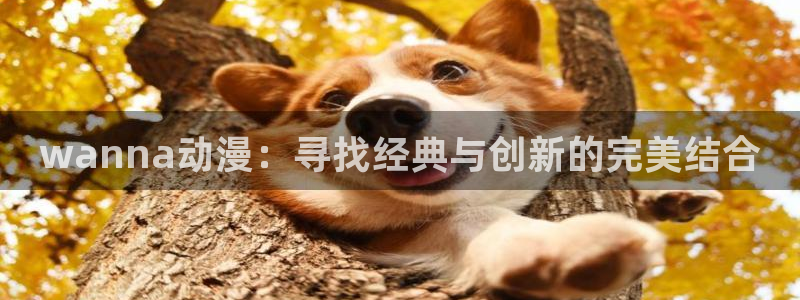age动漫下载：wanna动漫：寻找经典与创新的完美结合