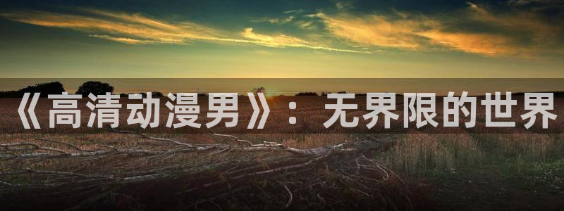 age漫画网：《高清动漫男》：无界限的世界